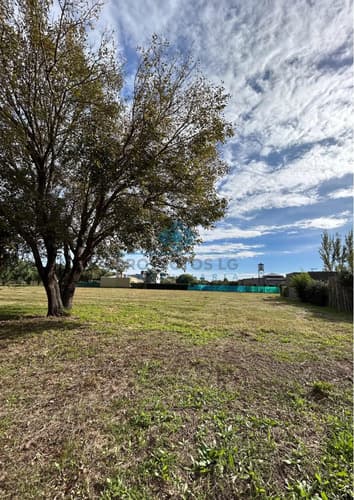Lote 1053 m2 sinsacate