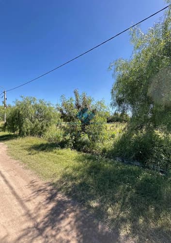 Lotes 700 m2 1000 m2 sinsacate