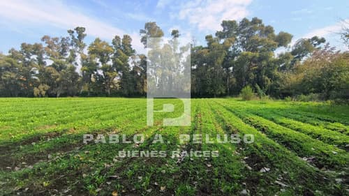 Venta lote en cuartel v moreno zona oeste buenos aires