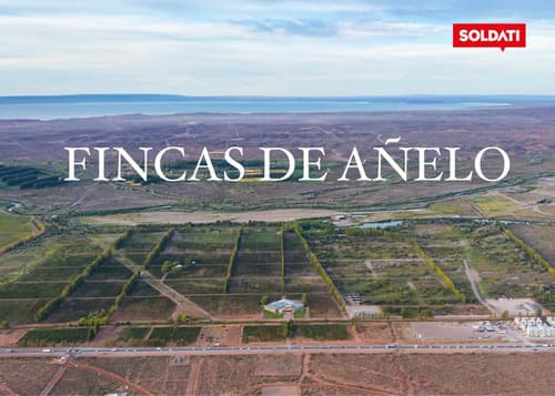 Fincas de anelo