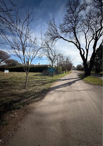 Lotes 1500 m2 jardines del lago sinsacate