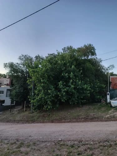 Villa catalina terreno