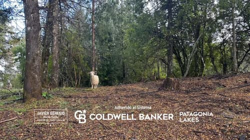 Venta terreno lote 800m2 b las balsas villa la angostura