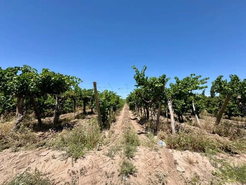 Venta terreno lote san martin