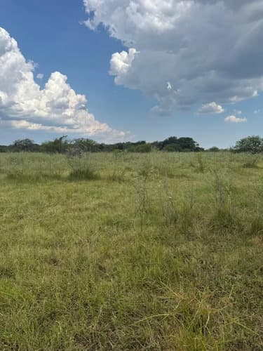 Campo de 77 hec ganaderas pueblo libertador corrientes