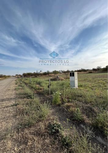 Lotes en sinsacate barrio colinas