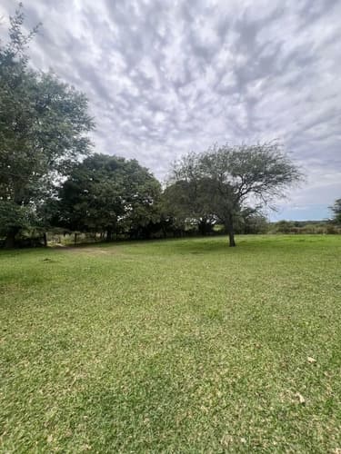 Campo ganadero 1134 hectareas sauce corrientes