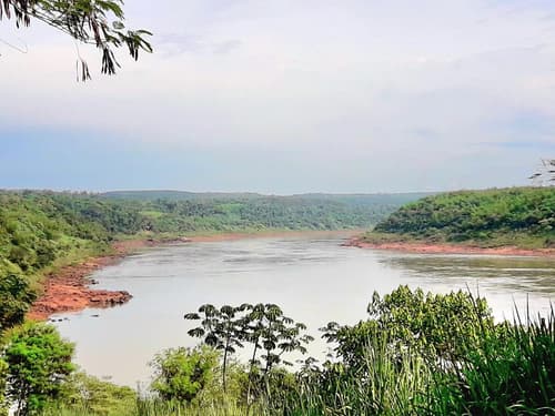 Se vende 20 hectareas sobre costa rio parana