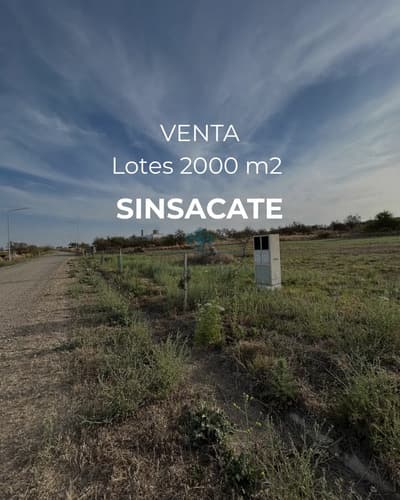 Lote 2000 m2 sinsacate