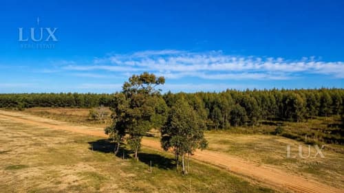 Terreno en venta en la criolla concordia entre rios