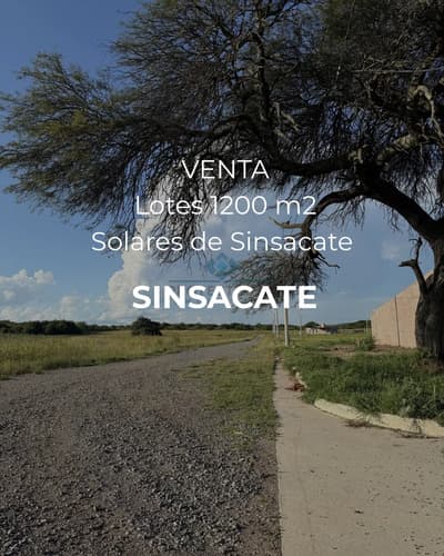Lotes 1200 m2 solares del camino real sinsacate
