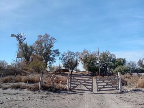 Campo ganadero 3400 has san rafael mendoza potencial productivo