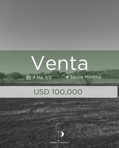 Se venden 4 hectareas y 12 en sauce montrul