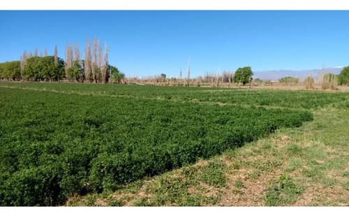 Campo en iglesia san juan