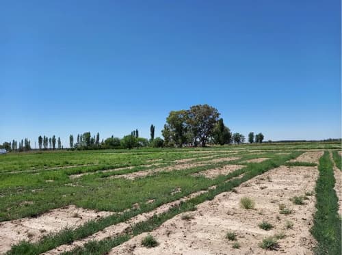 Caracteristicas principales superficie 796 hectareas 8 ha por titulo ubicacion calle 4 sn villa atuel san rafael mendoza derecho de riego inscripto en el departamento general de irr
