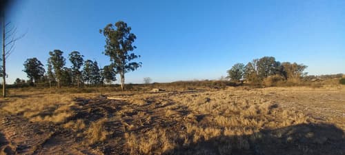 Campo de 30 hectareas sobre ruta asfaltada
