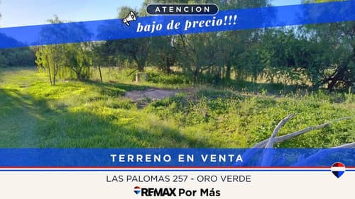 Lote 250m en oro verde