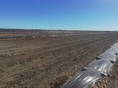 Campo de 650ha en rio negro distrito de cunea