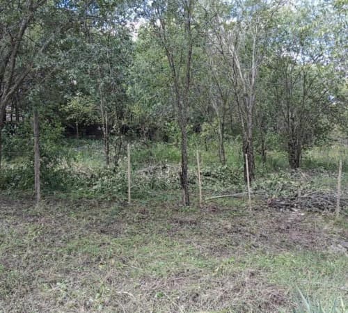 Lote en cosquin cordoba servicios disponibles