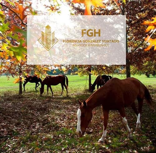 Lote bosque en venta en el campo de cardales