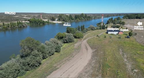 Campo 875 ha sobre rio negro con riego casa y galpon guardia mitre