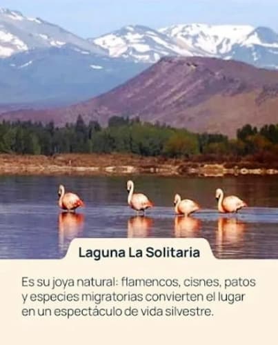Inmueble de 7x4 con terreno amplio vista a laguna extensa y paisaje cordillerano