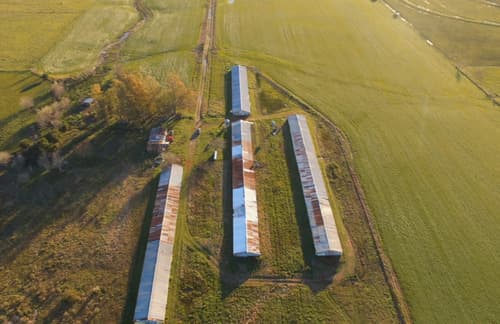Granja avicola sobre campo de 19 hectareas agricolas
