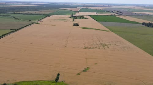 101 hectareas agricolas con excelente acceso gualeguaychu