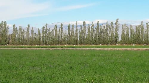 Terreno de 16 hectareas rawson