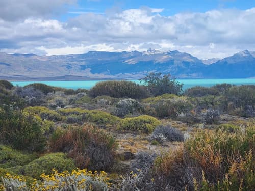 Venta estancia de 18200 hectareas con costas de lago santa cruz