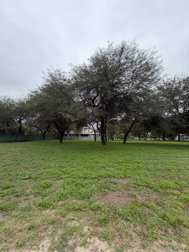 Venta lote barrio privado solares oeste