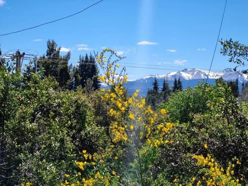 Terreno lote en venta en laguna el trebol bariloche patagonia